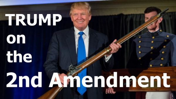 La lobby delle armi con Trump, che 'spara a zero' su Hillary